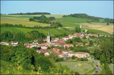 C'est le d&eacute;partement le moins peupl&eacute; de la r&eacute;gion Grand Est, avec 172 000 habitants et une densit&eacute; de 27,8 habitants/km&sup2; :