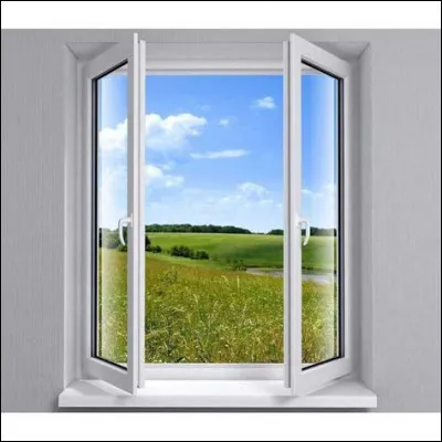 Si tu devais absolument perdre l'un de tes sens, ce serait :