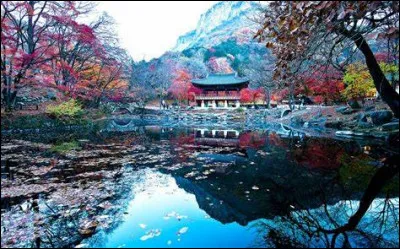 Comment l'hibiscus syriacus est-elle appelée en coréen ?