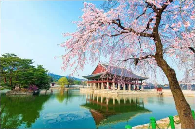 Quel pays a occupé la Corée dès 1905 ?