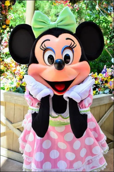 Choisis une image pour Minnie Mouse.