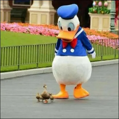 Choisis une image pour Donald Duck.