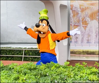 Choisis une image pour Dingo.