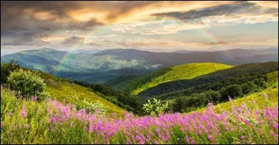 Jusqu'à quel âge l'école devient-elle obligatoire en Inde dès avril 2010 ?