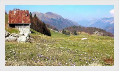 A quel âge la retraite passe-t-elle en France en avril 1983 ?