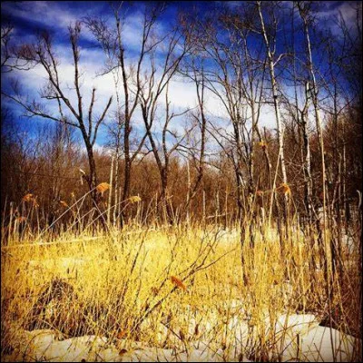 En 2019, quel nom le gouvernement annonce-t-il donner à l'ère de l'empereur du Japon Naruhito ?