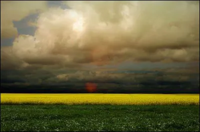 Laquelle de ces créations a été présentée au public pour la première fois en avril 1929 à New York ?
