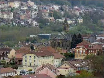 Je vous emmène dans le Grand-Est, à Saulnes. Commune de l'agglomération Longovicienne, près de la frontière luxembourgeoise, elle se situe dans le département ...