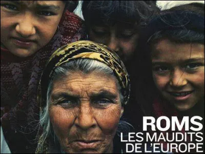 Lequel de ces personnages n'a pas été farouchement fermé à la culture rom durant les XVIIIe et XIXe siècles en France ?