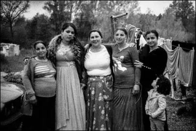 Au sud duquel de ces pays retrouve-t-on les Vendetikas ?