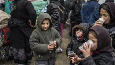 En quelle année de nombreux Roms originaires d'Egypte sont-ils venus demander l'hospitalité en France, comme relaté dans « Journal d'un bourgeois de Paris » ?