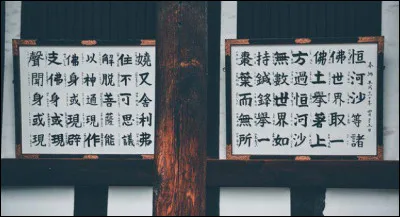 Bonus : quel est le moyen de transport privilégié des Japonais ?