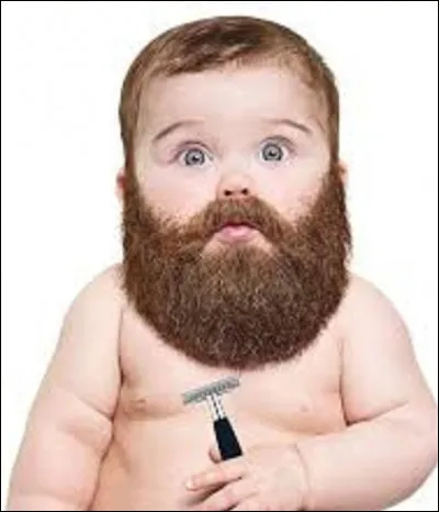 1567, Hans Steinniger, maire de Braunau en Autriche, meurt le cou brisé à cause de sa barbe, qui mesurait 1,4 mètre de long. Quel accident stupide lui arriva-t-il ?