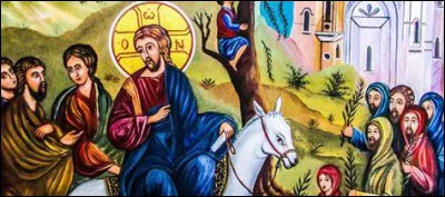 Dans lequel de ces pays utilise-t-on couramment des branchettes d'olivier ?