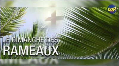 Durant laquelle de ces fêtes ramène-t-on les rameaux bénis lors du dimanche des Rameaux ?