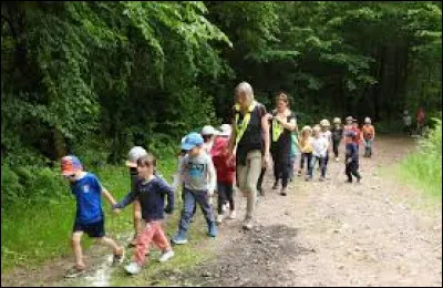 Tu as organisé une randonnée avec tes élèves. Vous êtes dans un chemin étroit et raide. Un élève en bouscule un autre qui a failli tomber. Qu'en penses-tu ?