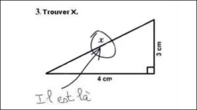 Tu corriges les copies de maths quand tu tombes sur cette feuille. Qu'en penses-tu ?