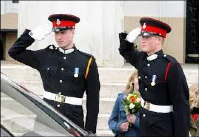 A fait la guerre en Afghanistan :