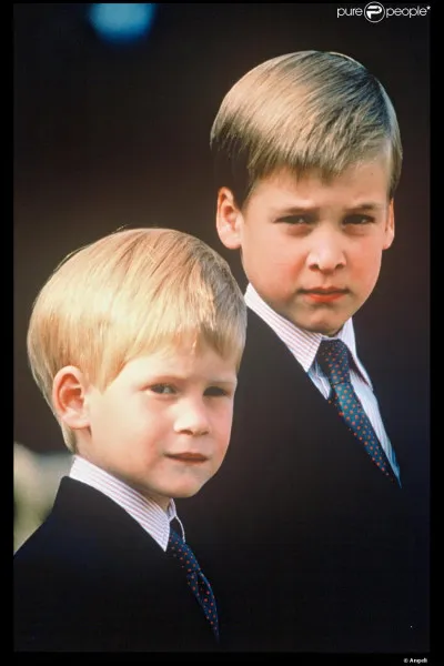 A été à la prestigieuse école privée de Nothing Hill :