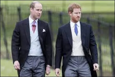 Sait piloter un hélicoptère :