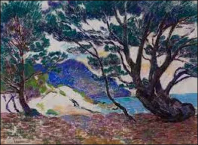 Qui a peint "Pins maritimes, crique au Brusc" ?