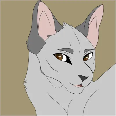 Tu as envie de rejoindre les clans ou d'y revenir. Comment fais-tu ?