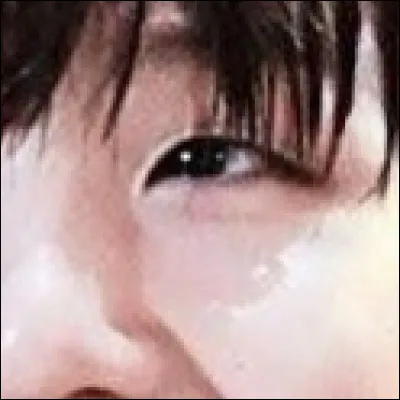 De quel membre s'agit-il ?