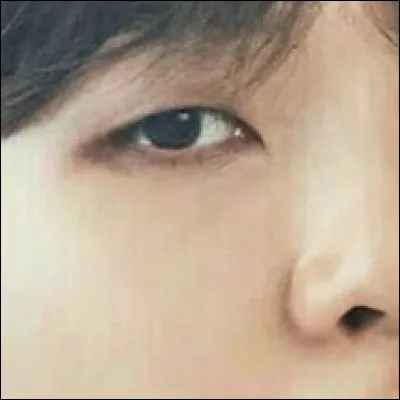 De quel membre s'agit-il ?