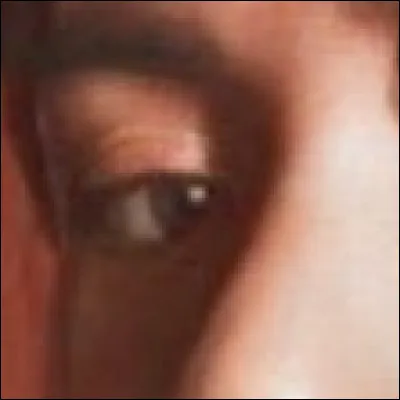 De quel membre s'agit-il ?