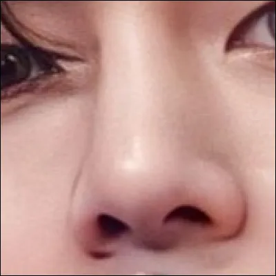 De quel membre s'agit-il ?