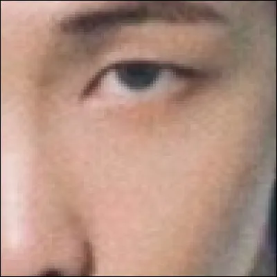 De quel membre s'agit-il ?