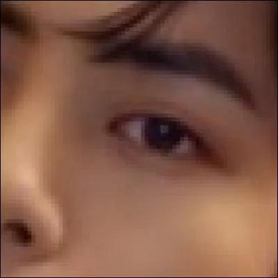 De quel membre s'agit-il ?