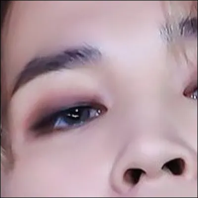 De quel membre s'agit-il ?