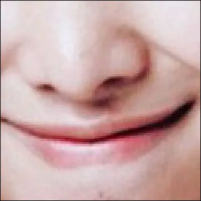 De quel membre s'agit-il ?