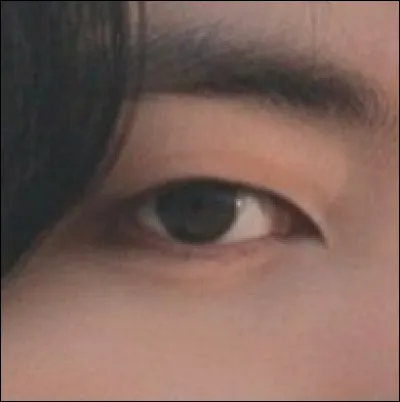 De quel membre s'agit-il ?