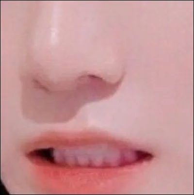 De quel membre s'agit-il ?