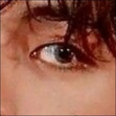 De quel membre s'agit-il ?