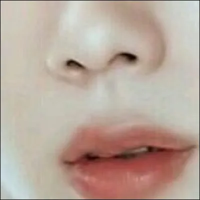 De quel membre s'agit-il ?