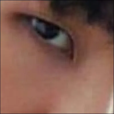 De quel membre s'agit-il ?