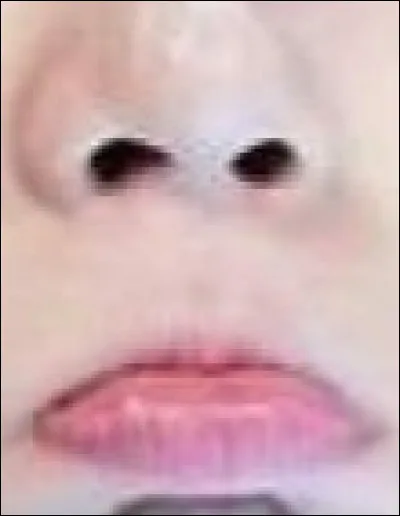 De quel membre s'agit-il ?