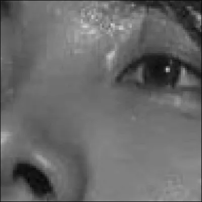 De quel membre s'agit-il ?