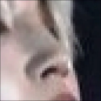 De quel membre s'agit-il ?