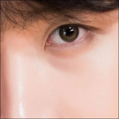 De quel membre s'agit-il ?