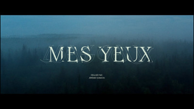 De quelle couleur sont tes yeux ?