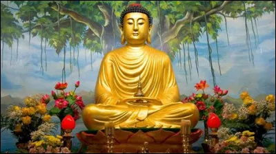 Que désigne-t-on par "moha" ?