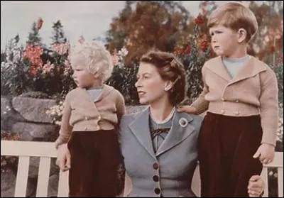 Et en tout, combien en a-t-elle (ne pas se fier à l'image) ?