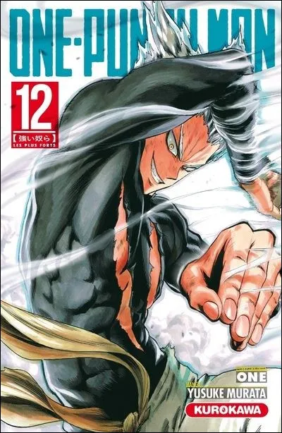 En quelle année le tome 12 est-il sorti en France ?