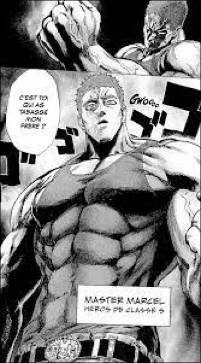 Combien les frères Marcel sont-ils ?