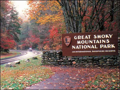Aux Etats-Unis, Aux Great Smoky Mountains, chaque année, au printemps, un évènement attire des milliers de touristes, à tel point que les visiteurs doivent participer à une loterie pour avoir le droit d'y assister, cet évènement dure une quinzaine de jours !