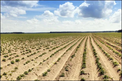 À force de courir dans mon petit jardin, j'ai creusé un ___ dans le sol !